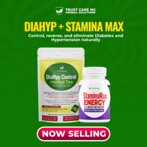DiaHyp Control Herbal Tea Combo